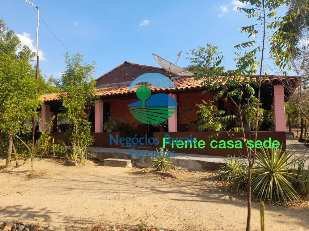 Sítio à venda de 70 ha em Floriano, PI, Brasil