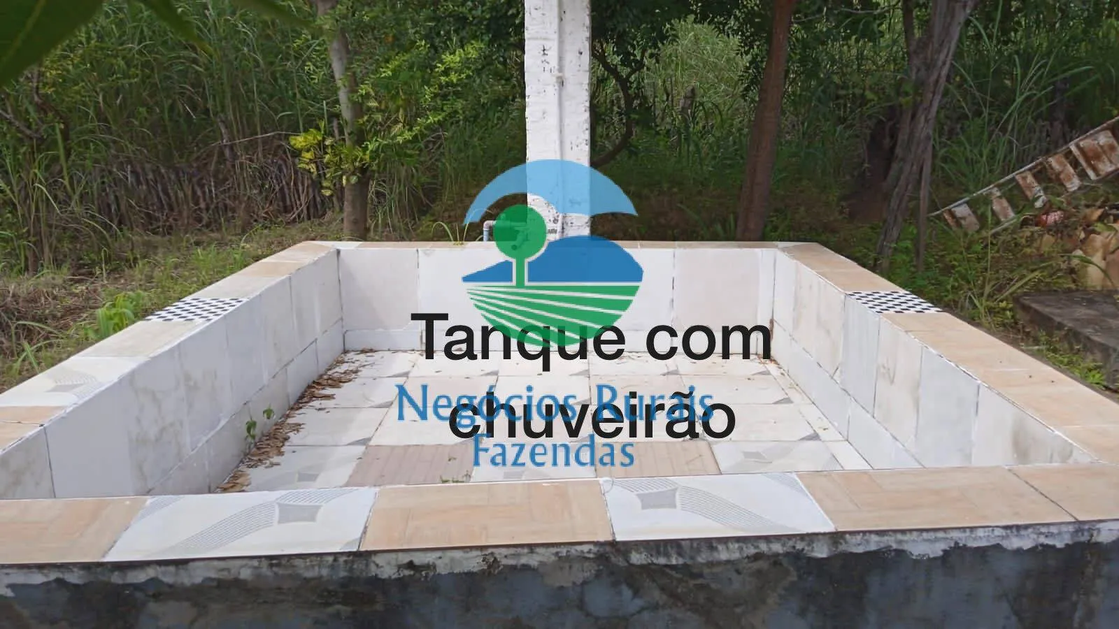 Sítio à venda de 70 ha em Floriano, PI, Brasil