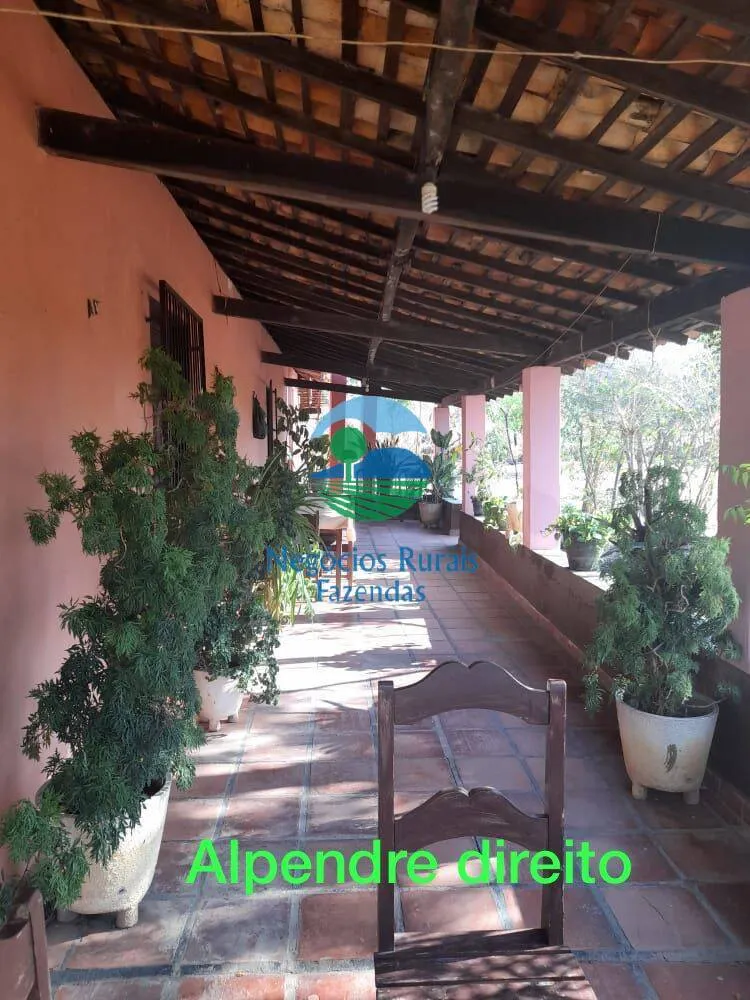 Sítio à venda de 70 ha em Floriano, PI, Brasil