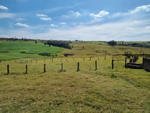 Sítio à venda de 31 ha em Itapetininga, SP, Brasil