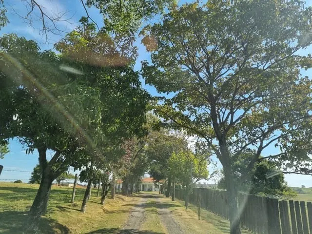 Sítio à venda de 31 ha em Itapetininga, SP, Brasil