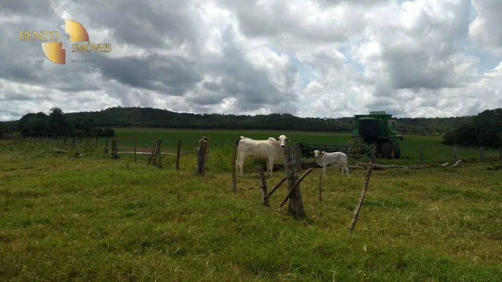 Farm for sale of 939 acres in Canarana, MT, Brazil