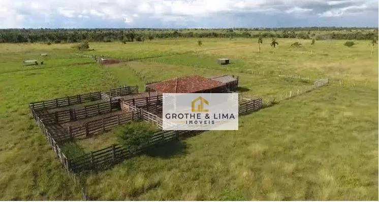 Farm for sale of 2,452 acres in Bernardo Sayão, TO, Brazil