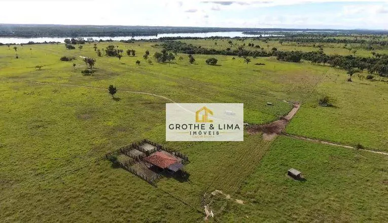 Farm for sale of 2,452 acres in Bernardo Sayão, TO, Brazil