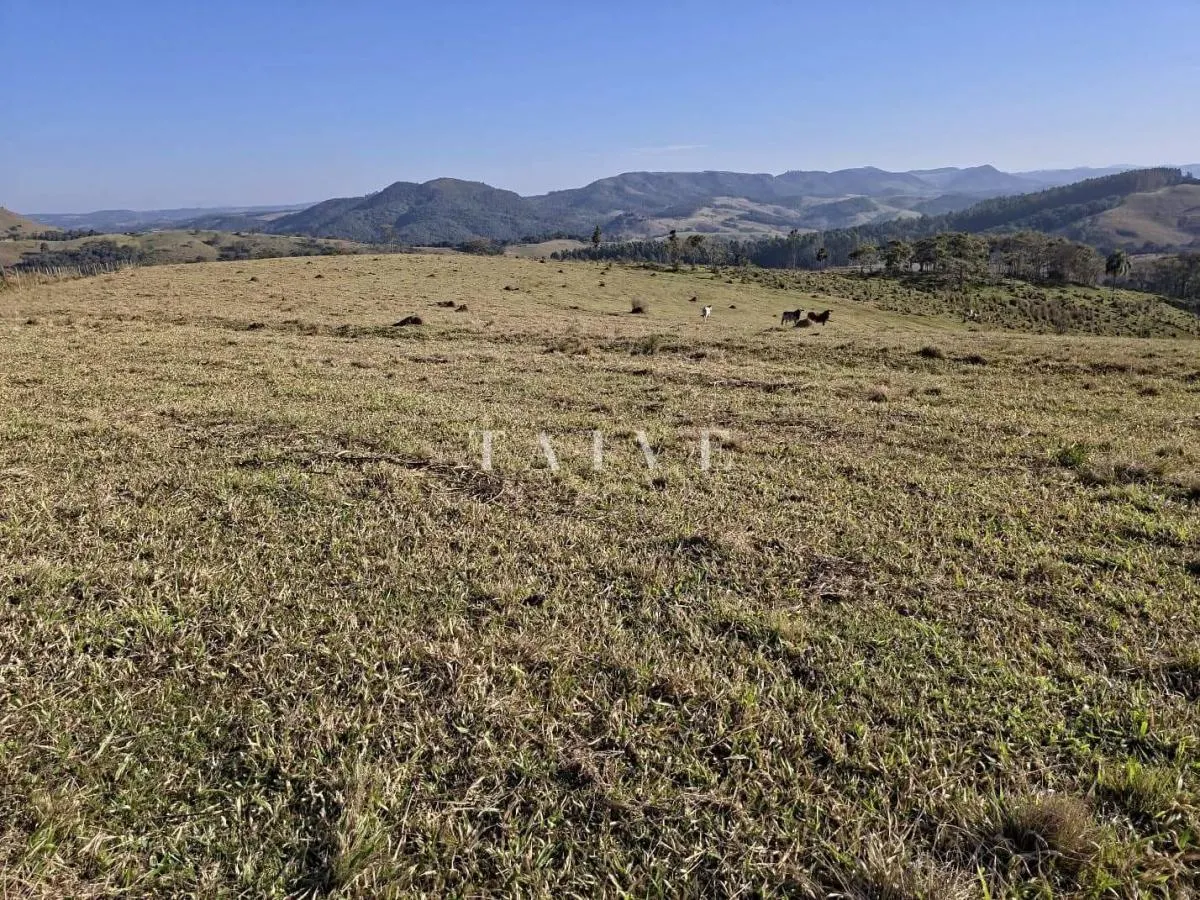 Fazenda à venda de 171 ha em Capão Bonito, SP, Brasil