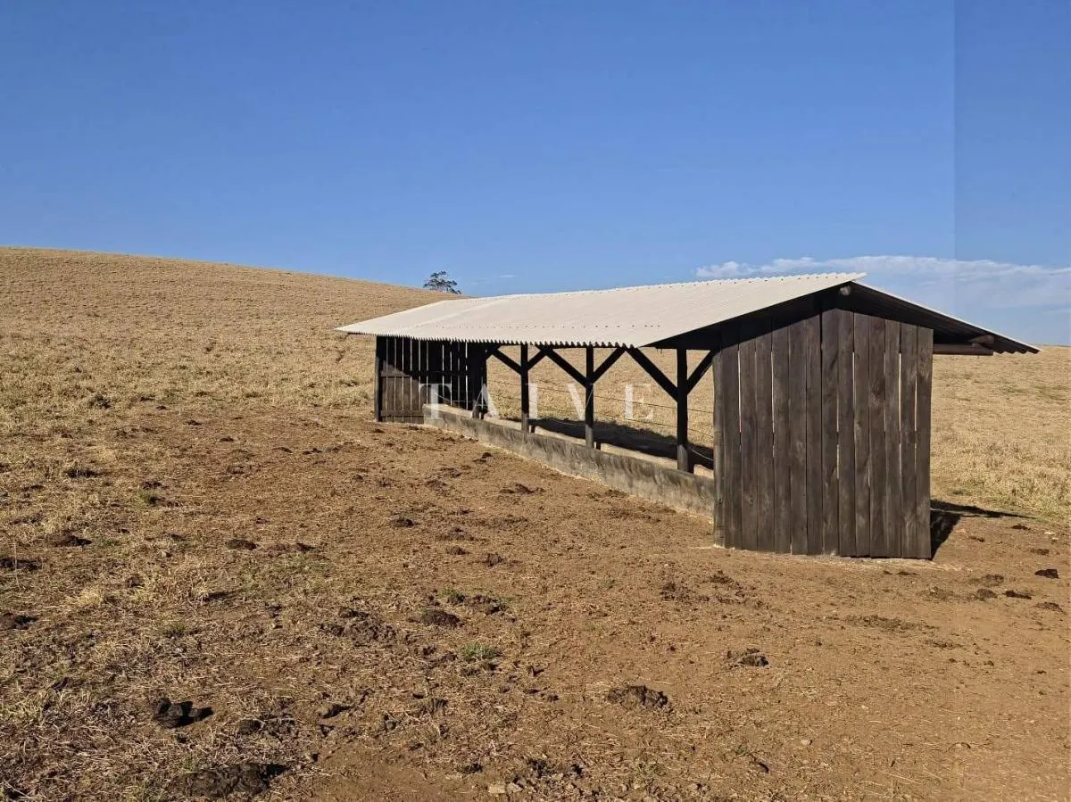 Fazenda à venda de 171 ha em Capão Bonito, SP, Brasil