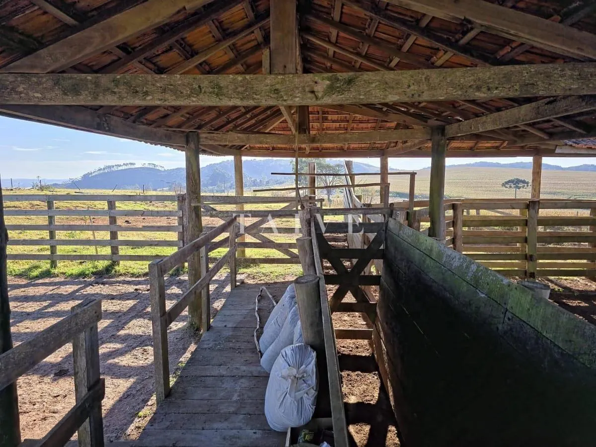 Fazenda à venda de 171 ha em Capão Bonito, SP, Brasil