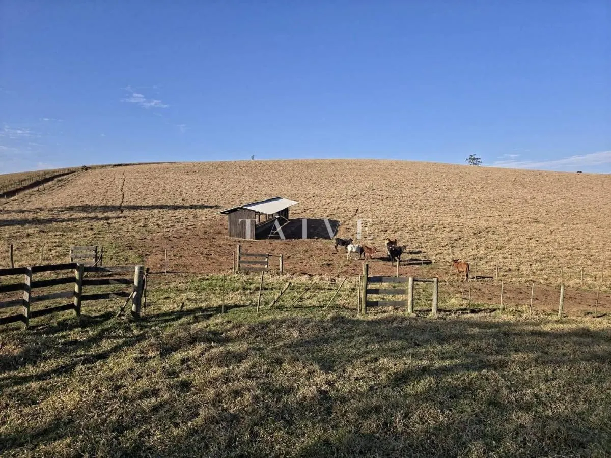 Fazenda à venda de 171 ha em Capão Bonito, SP, Brasil