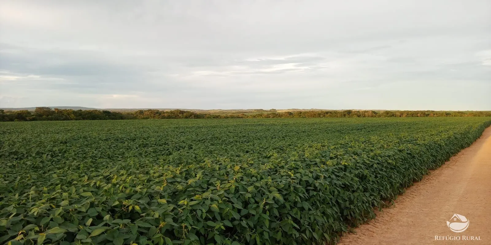 Fazenda à venda de 1.090 ha em Planalto da Serra, MT, Brasil