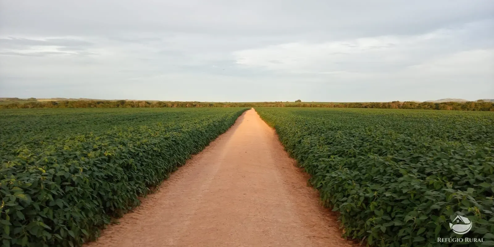 Fazenda à venda de 1.090 ha em Planalto da Serra, MT, Brasil