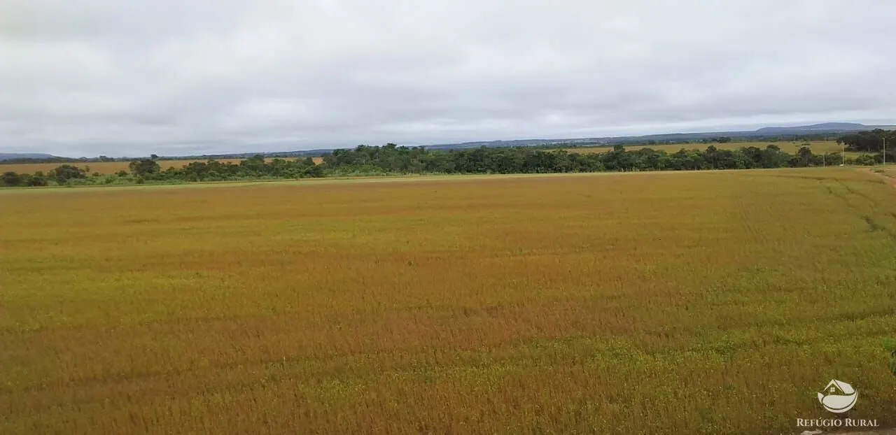 Fazenda à venda de 1.090 ha em Planalto da Serra, MT, Brasil