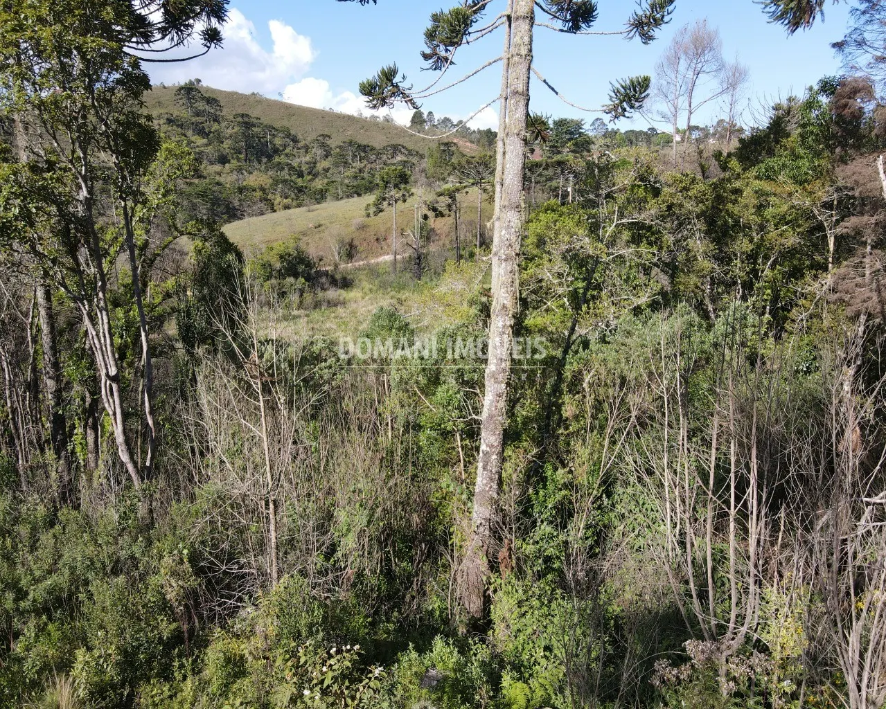Terreno à venda de 1.630 m² em Campos do Jordão, SP, Brasil
