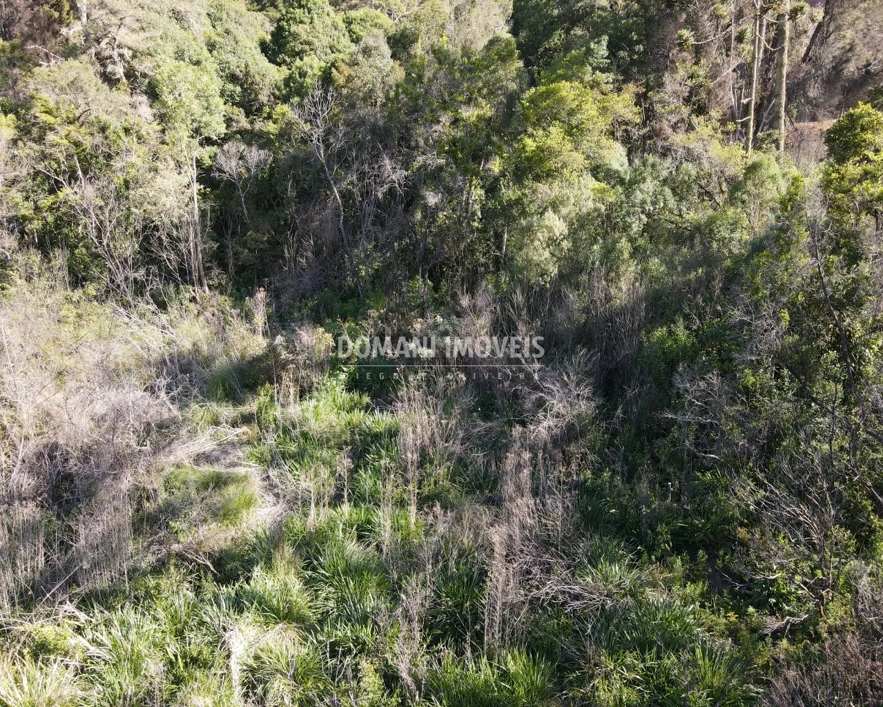 Terreno à venda de 1.630 m² em Campos do Jordão, SP, Brasil