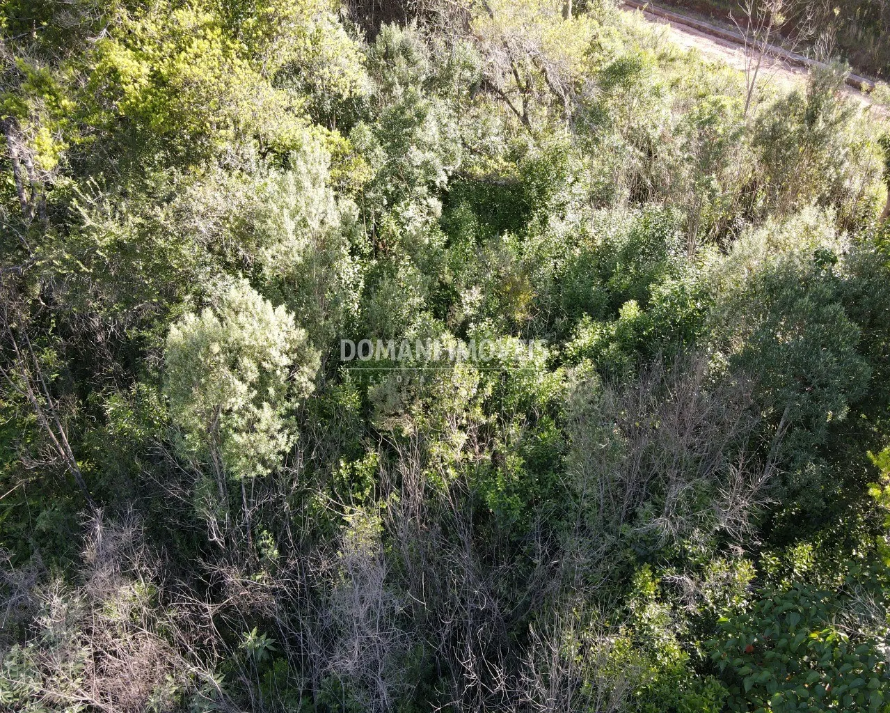 Terreno à venda de 1.630 m² em Campos do Jordão, SP, Brasil