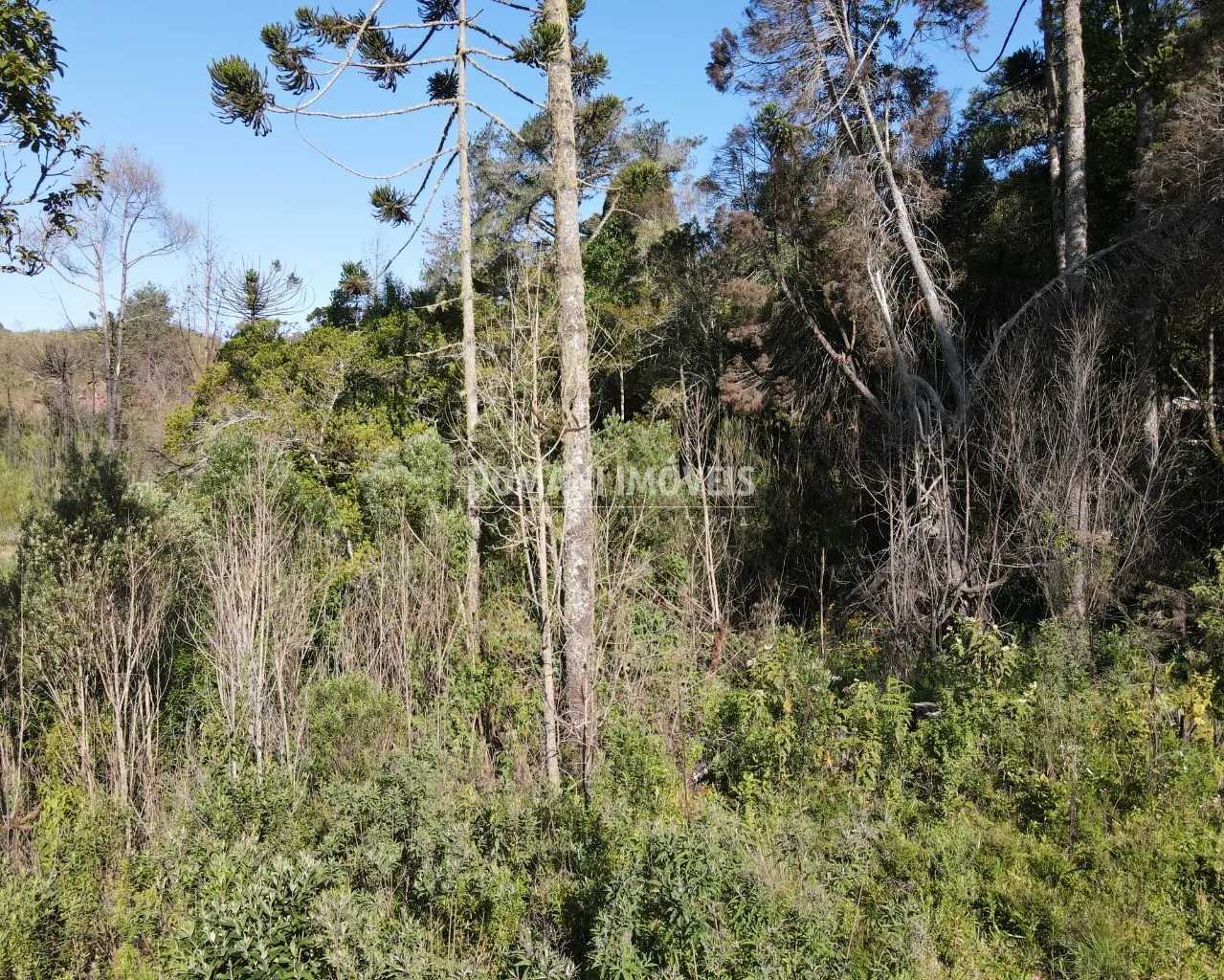 Terreno à venda de 1.630 m² em Campos do Jordão, SP, Brasil