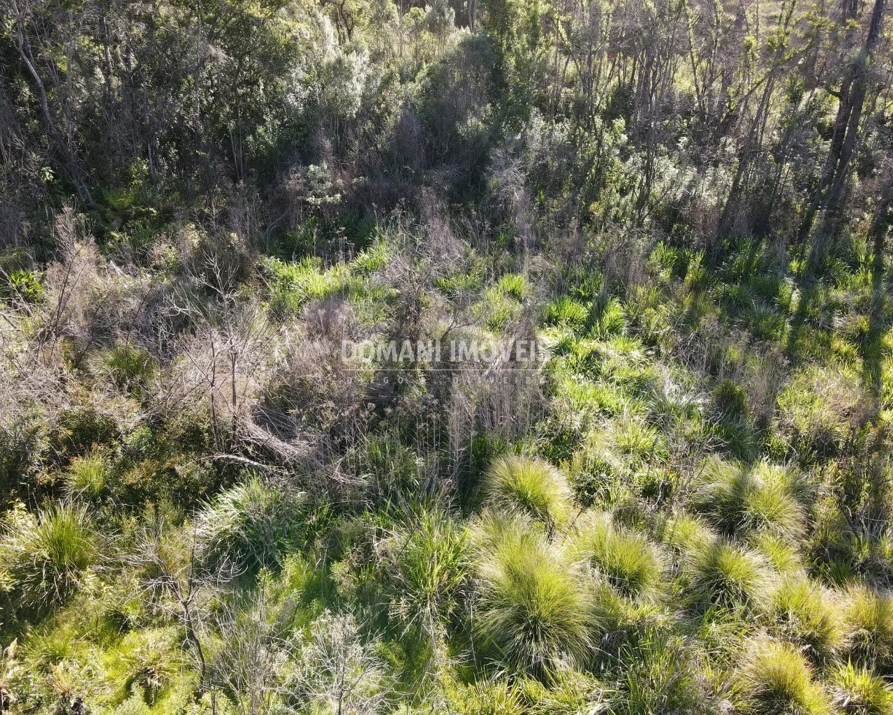 Terreno à venda de 1.630 m² em Campos do Jordão, SP, Brasil