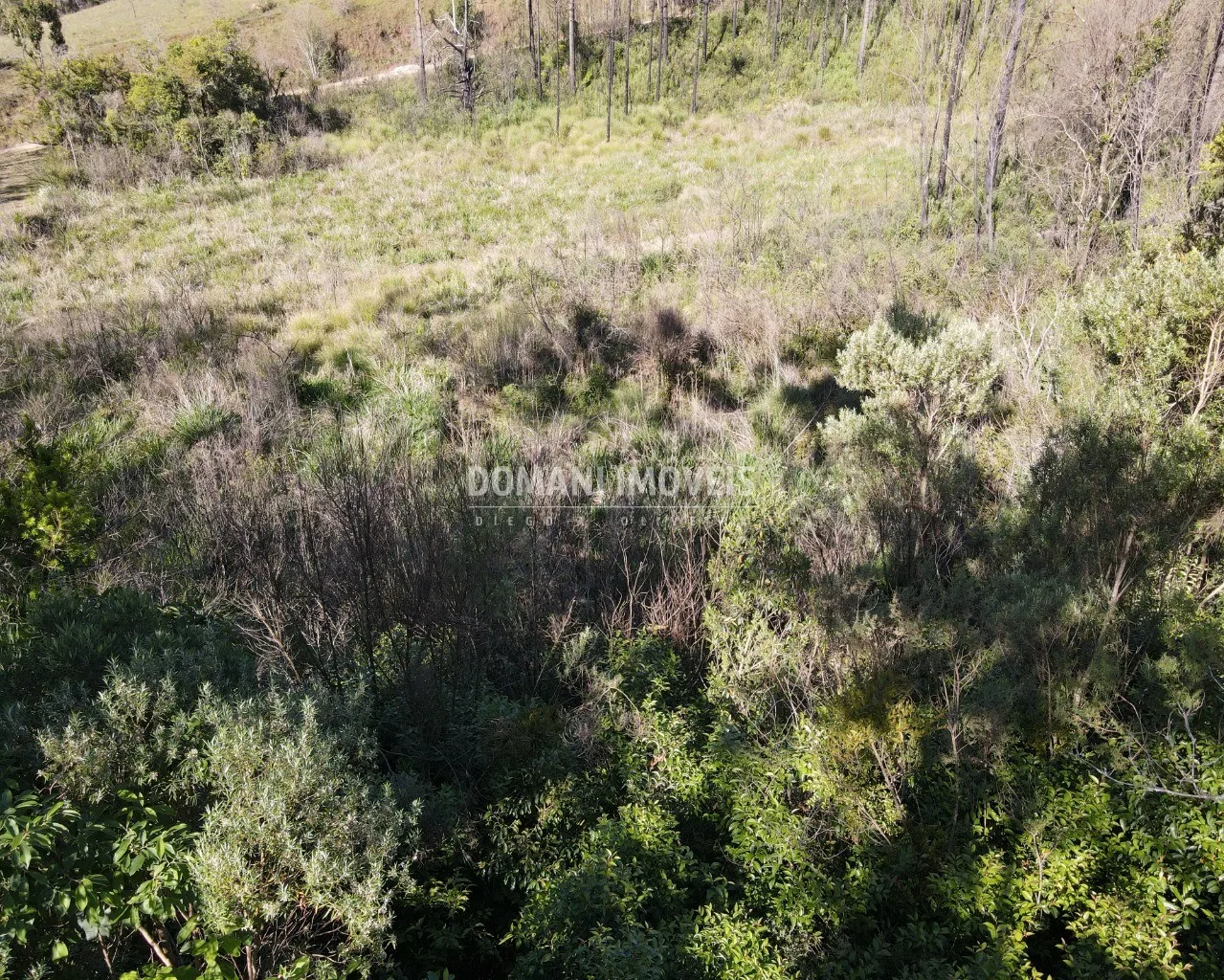 Terreno à venda de 1.630 m² em Campos do Jordão, SP, Brasil