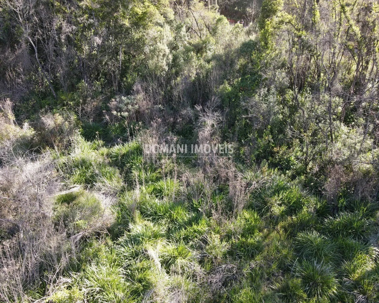 Terreno à venda de 1.630 m² em Campos do Jordão, SP, Brasil