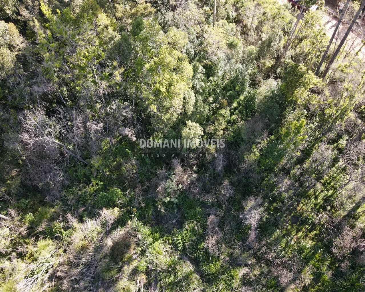 Terreno à venda de 1.630 m² em Campos do Jordão, SP, Brasil