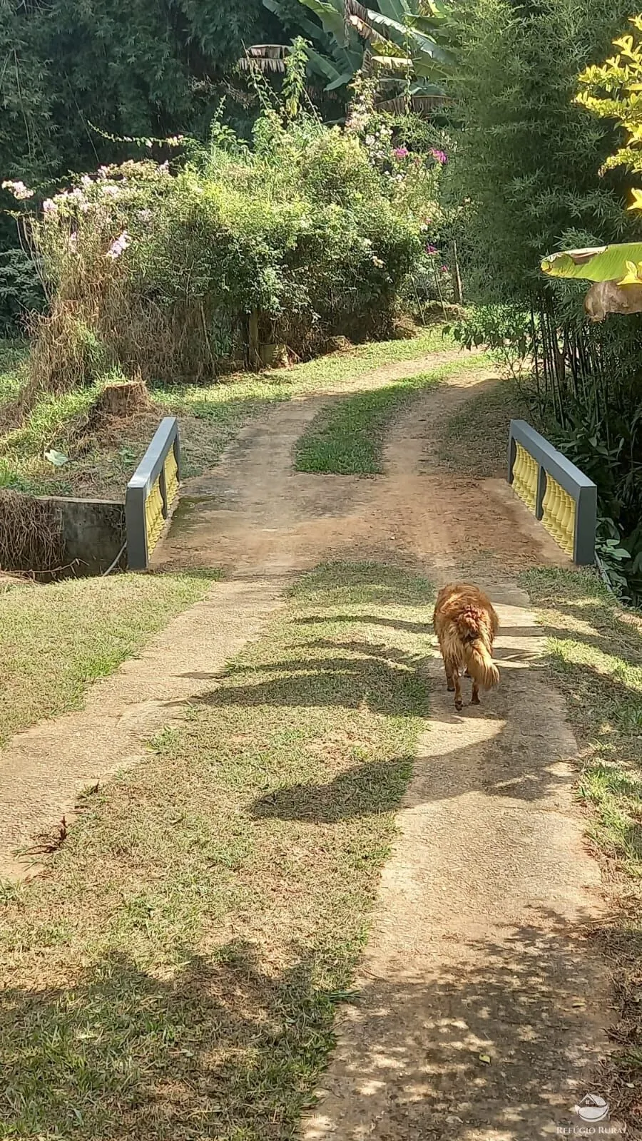 Chácara à venda de 2 ha em São José dos Campos, SP, Brasil