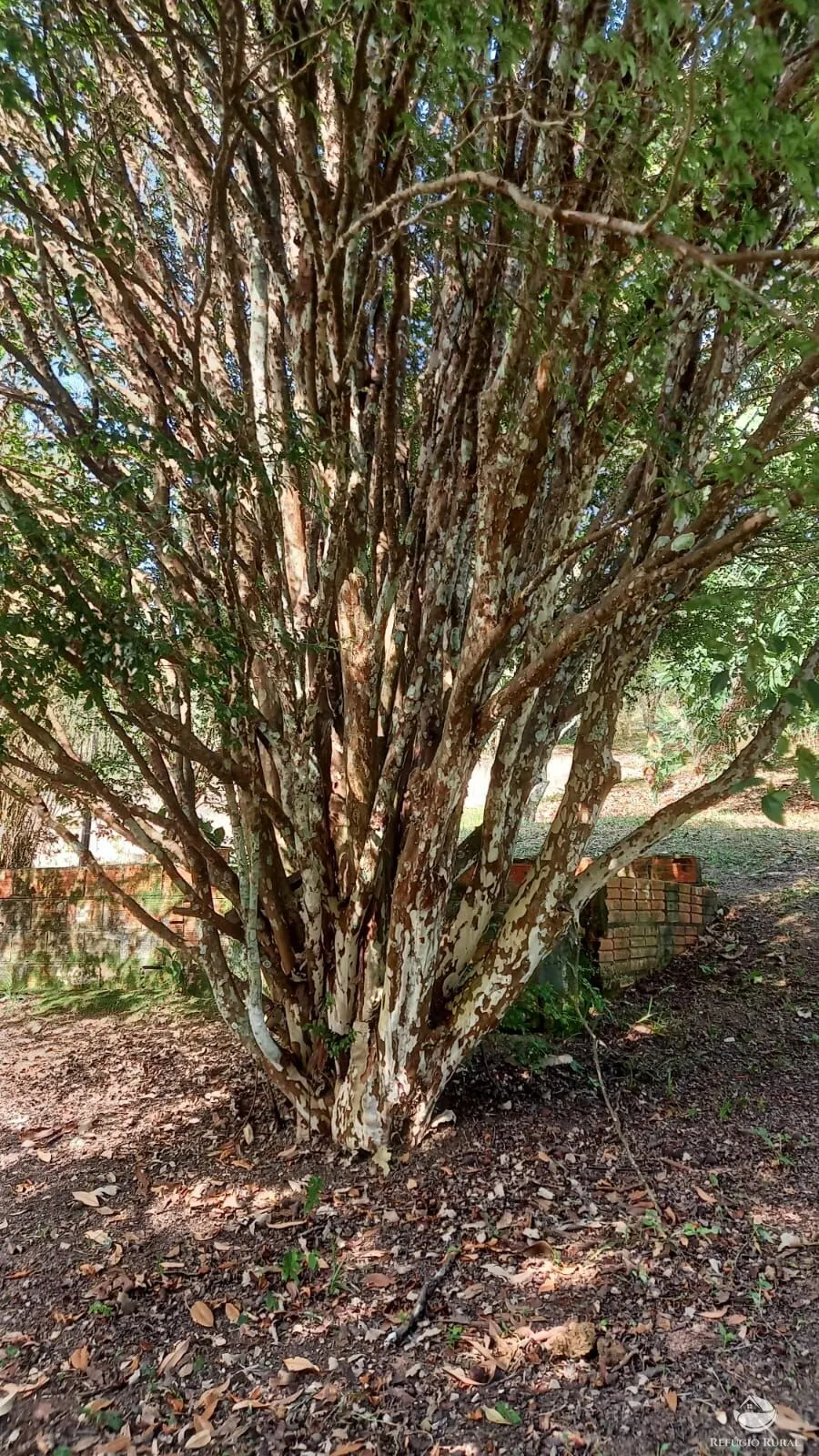 Chácara à venda de 2 ha em São José dos Campos, SP, Brasil