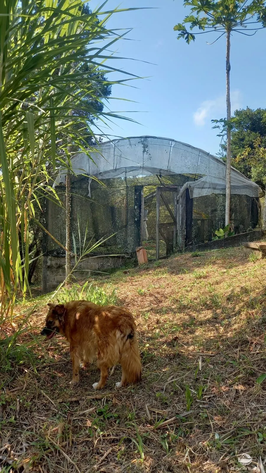 Chácara à venda de 2 ha em São José dos Campos, SP, Brasil