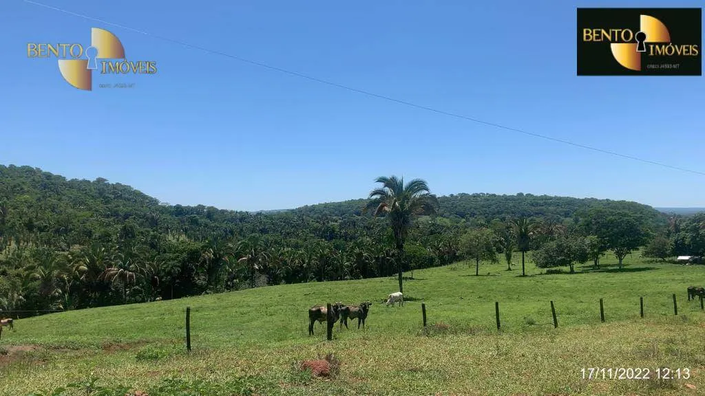 Fazenda à venda de 313 ha em Chapada dos Guimarães, MT, Brasil