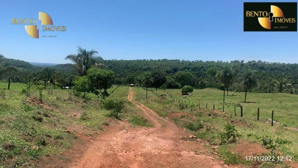 Fazenda à venda de 313 ha em Chapada dos Guimarães, MT, Brasil