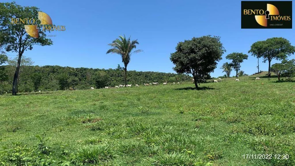 Fazenda à venda de 313 ha em Chapada dos Guimarães, MT, Brasil