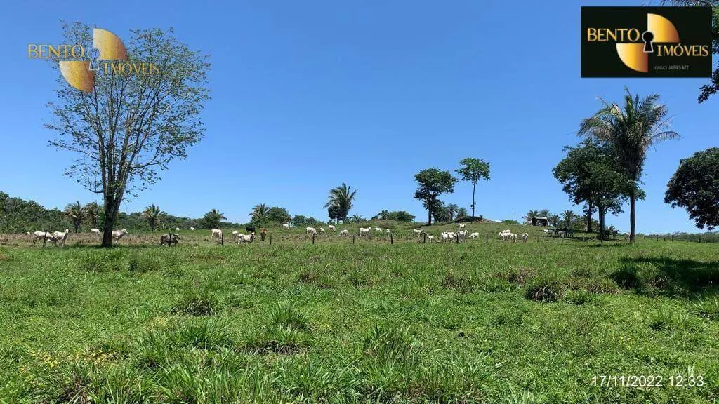 Fazenda à venda de 313 ha em Chapada dos Guimarães, MT, Brasil