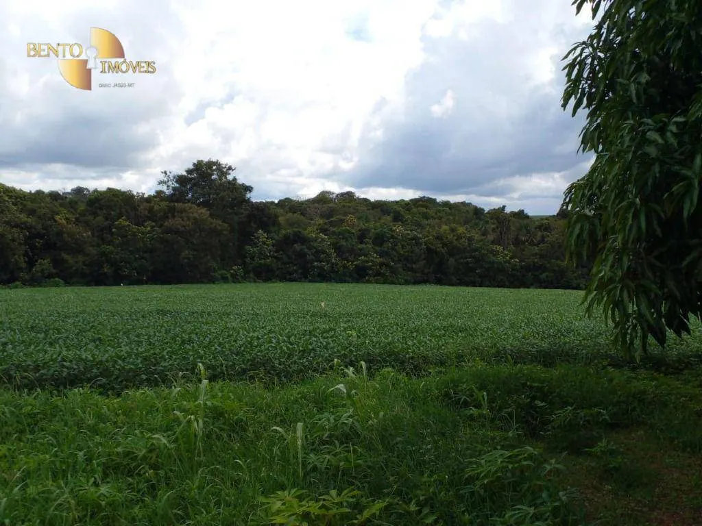 Sítio à venda de 33 ha em Campo Verde, MT, Brasil