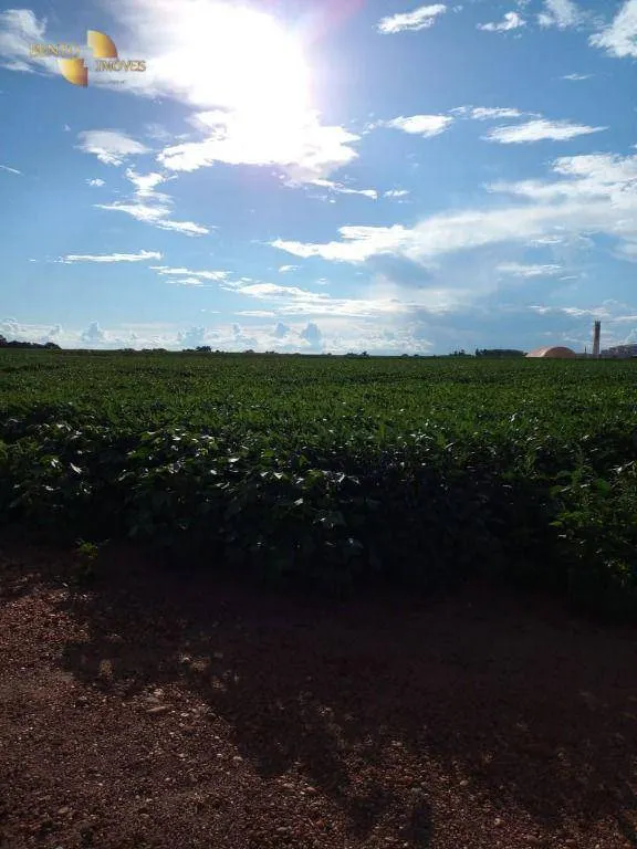 Sítio à venda de 33 ha em Campo Verde, MT, Brasil