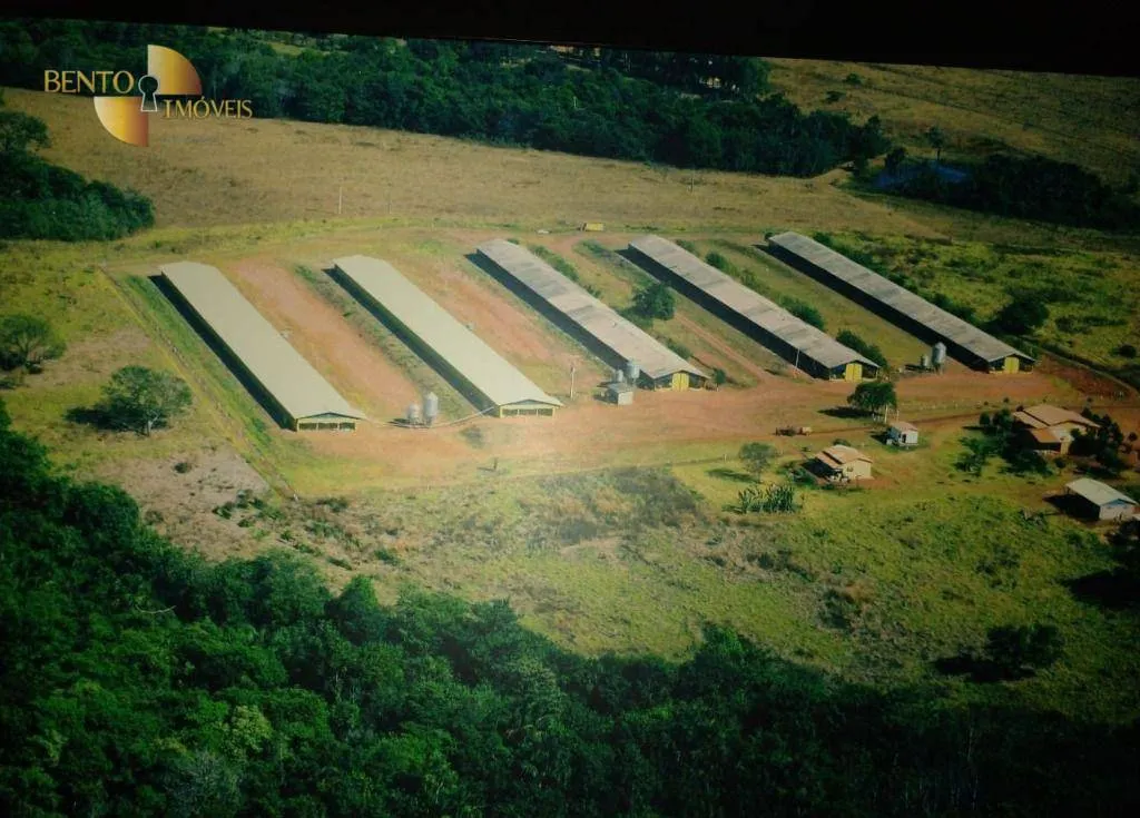 Sítio à venda de 33 ha em Campo Verde, MT, Brasil