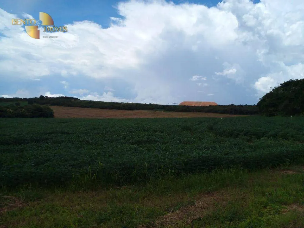 Sítio à venda de 33 ha em Campo Verde, MT, Brasil