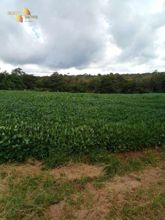 Sítio à venda de 33 ha em Campo Verde, MT, Brasil