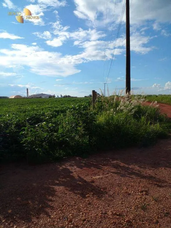Sítio à venda de 33 ha em Campo Verde, MT, Brasil