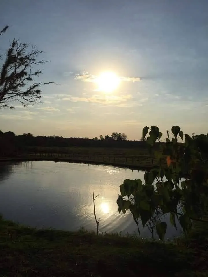 Sítio à venda de 10 ha em Capela do Alto, SP, Brasil