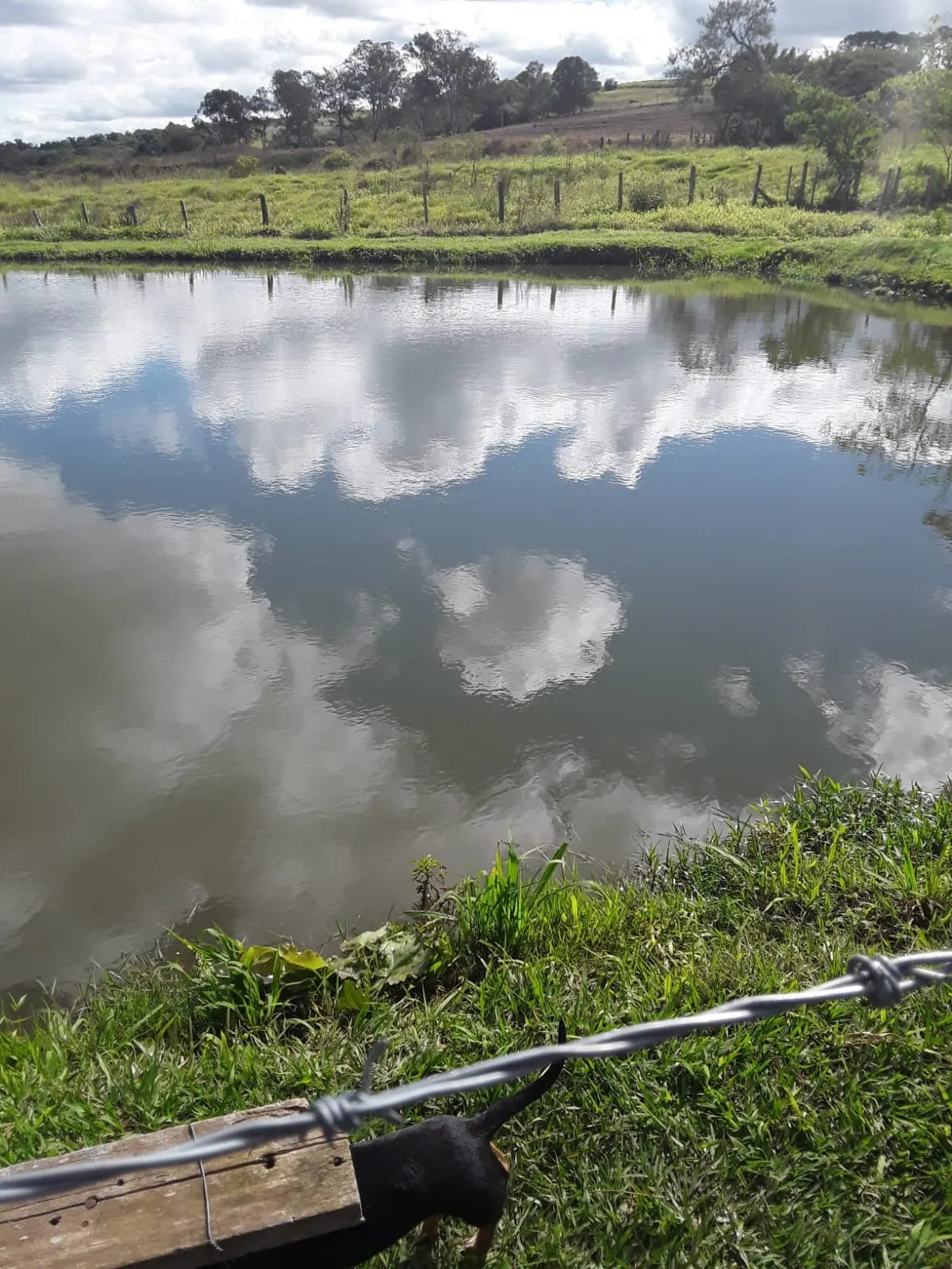 Sítio à venda de 10 ha em Capela do Alto, SP, Brasil