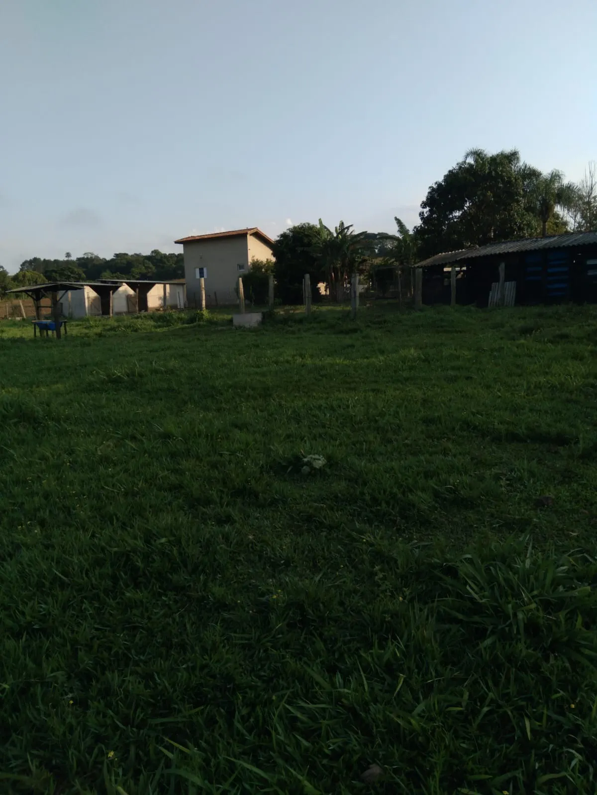 Sítio à venda de 10 ha em Capela do Alto, SP, Brasil