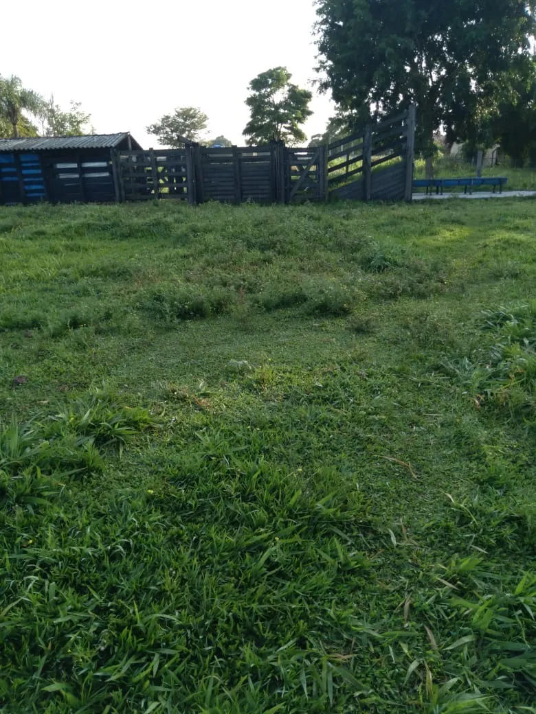 Sítio à venda de 10 ha em Capela do Alto, SP, Brasil