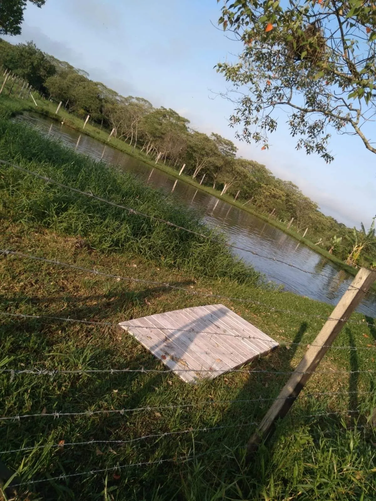 Sítio à venda de 10 ha em Capela do Alto, SP, Brasil