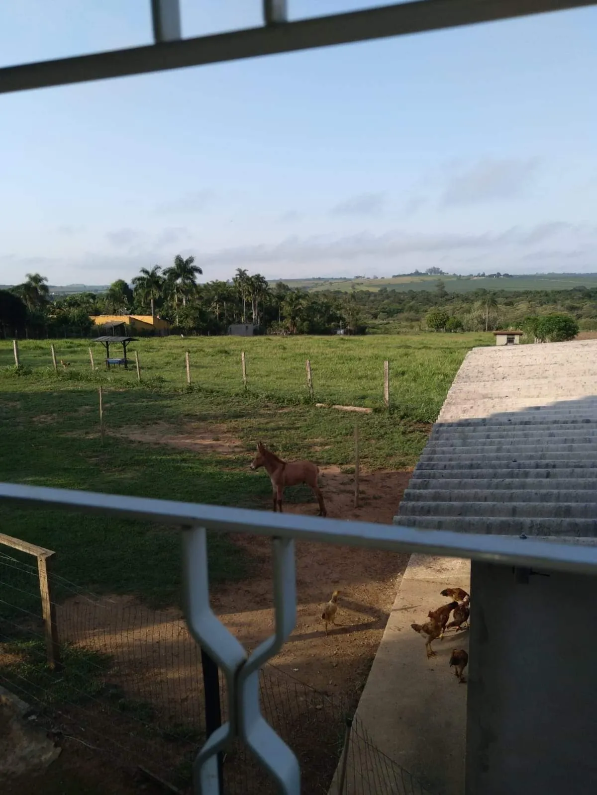 Sítio à venda de 10 ha em Capela do Alto, SP, Brasil