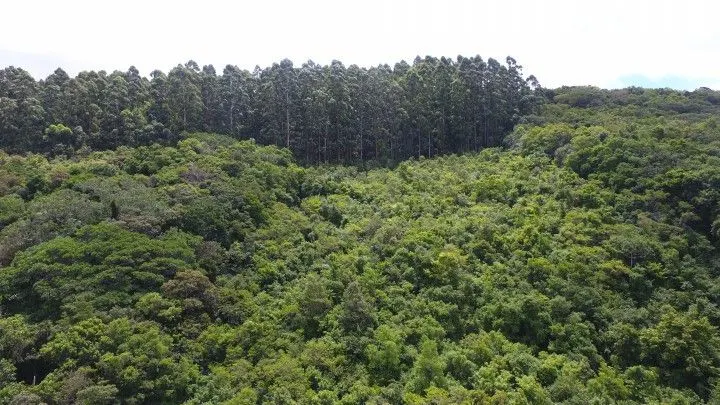 Country home for sale of 10 acres in Caraá, RS, Brazil