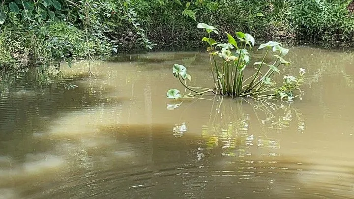 Country home for sale of 10 acres in Caraá, RS, Brazil
