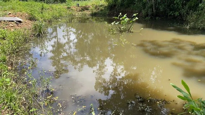 Country home for sale of 10 acres in Caraá, RS, Brazil