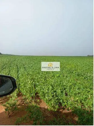 Farm for sale of 22,855 acres in Xinguara, PA, Brazil