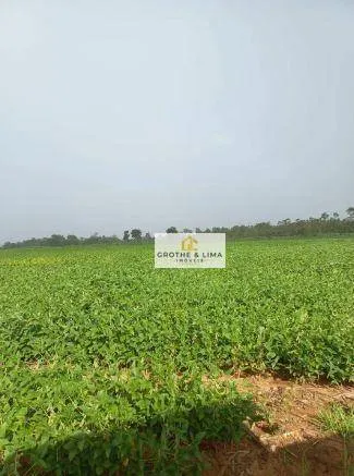 Fazenda à venda de 9.249 ha em Xinguara, PA, Brasil