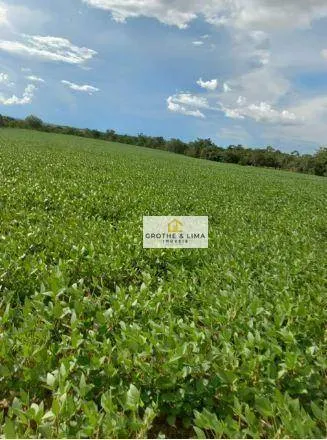 Farm for sale of 22,855 acres in Xinguara, PA, Brazil