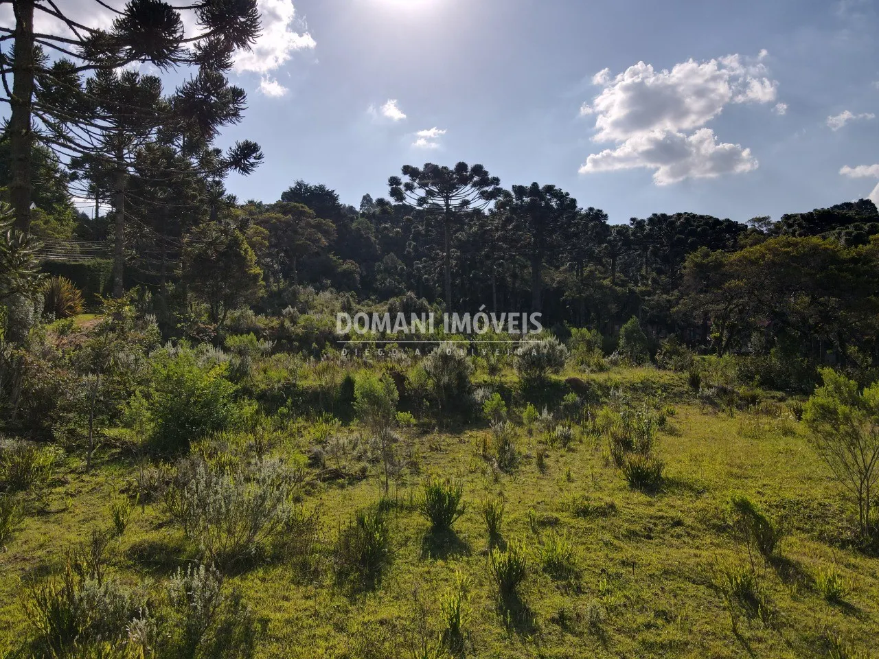 Terreno à venda de 6.080 m² em Campos do Jordão, SP, Brasil