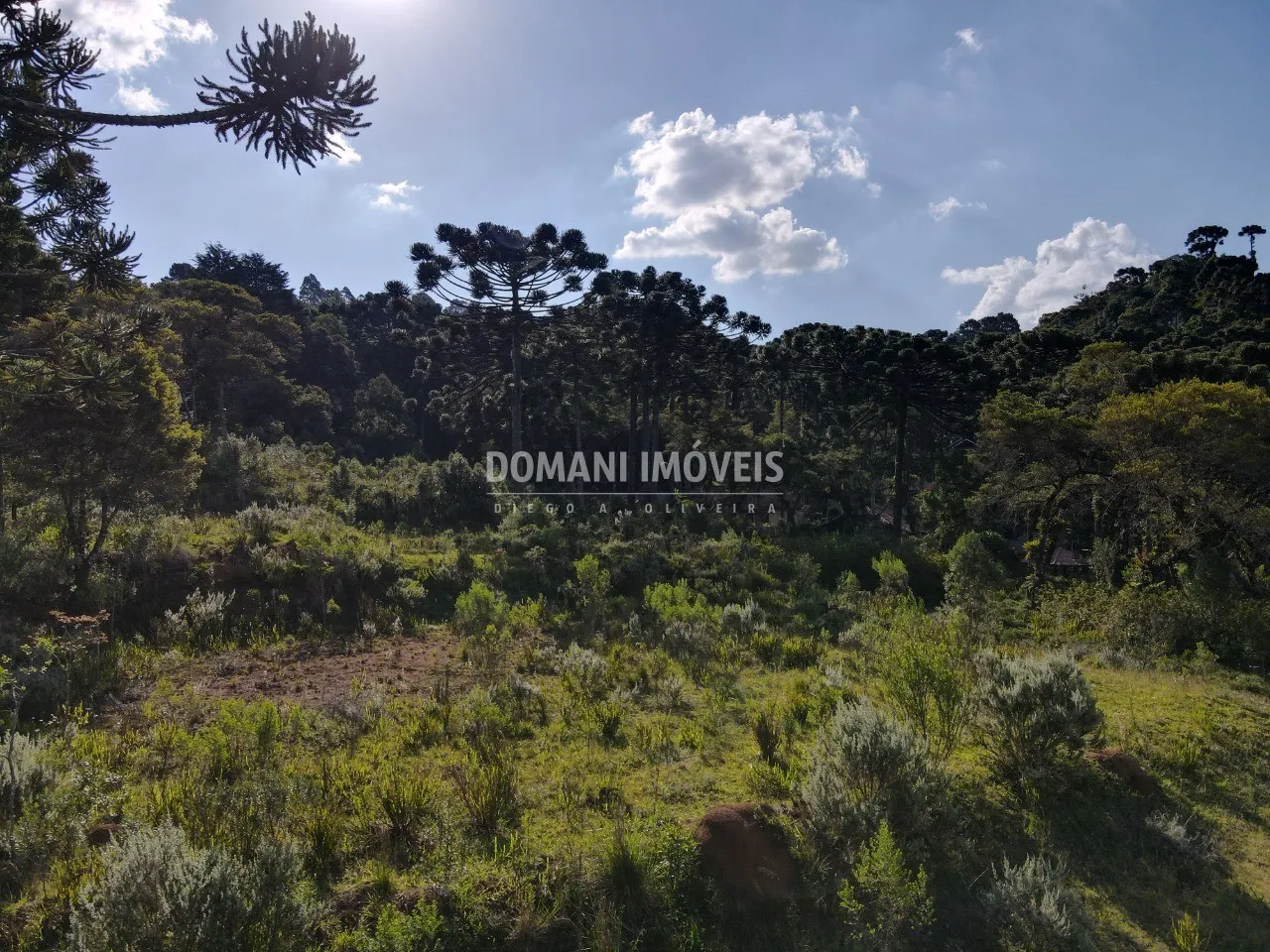 Terreno à venda de 6.080 m² em Campos do Jordão, SP, Brasil